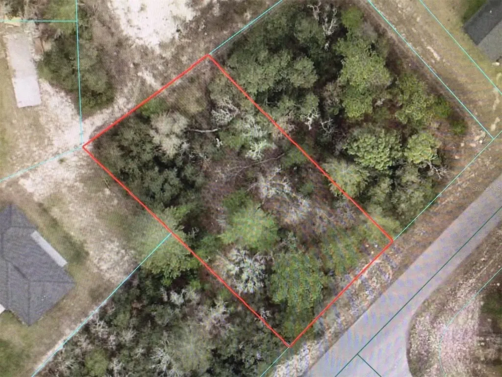 SW 55 Avenue Road Ocala FL 34473