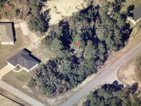 SW 55 Avenue Road Ocala FL 34473