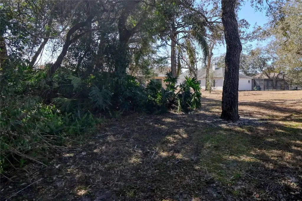 7328 Flyway Drive Spring Hill FL 34607