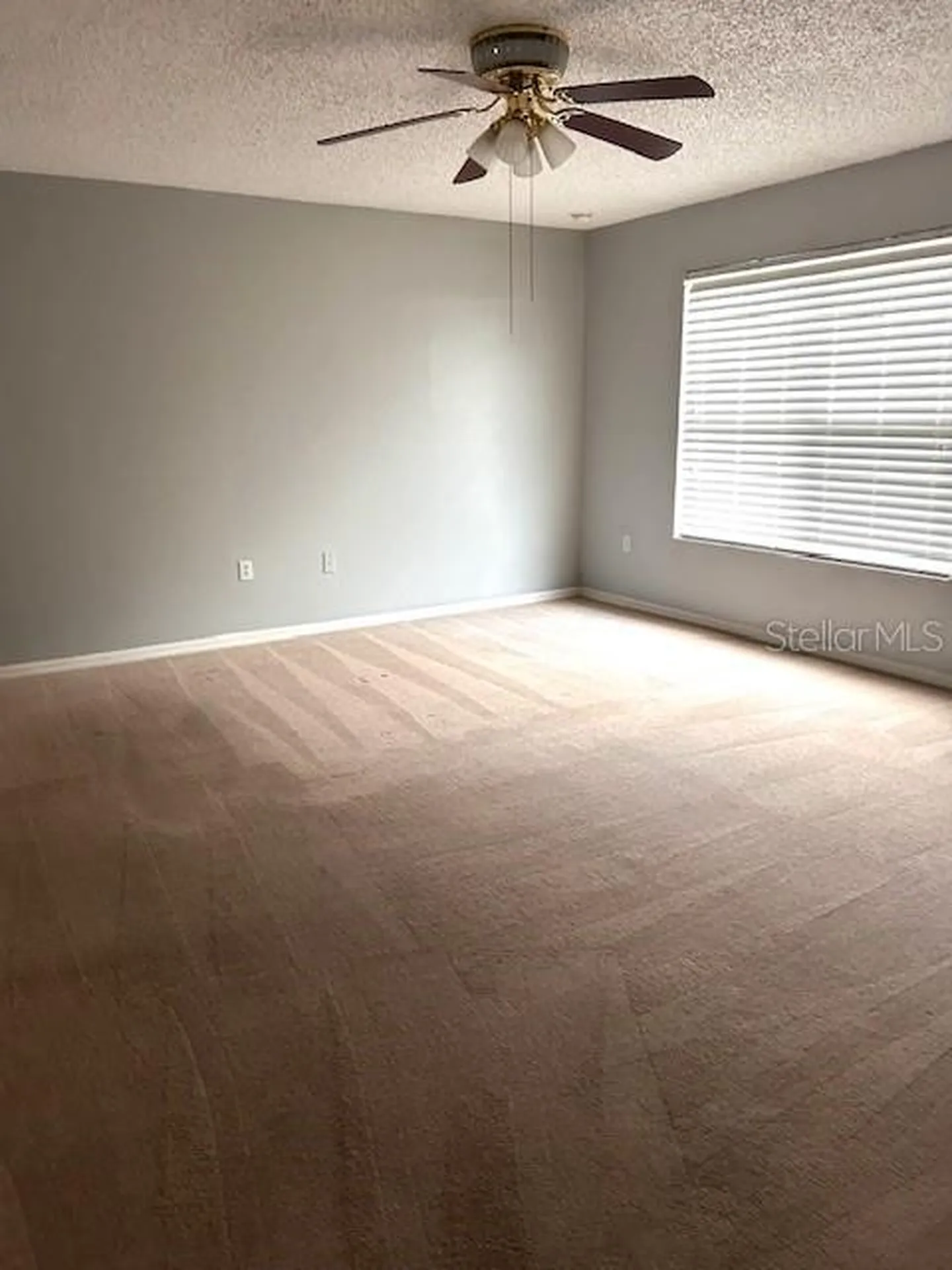843 Ognon Court Kissimmee FL 34759