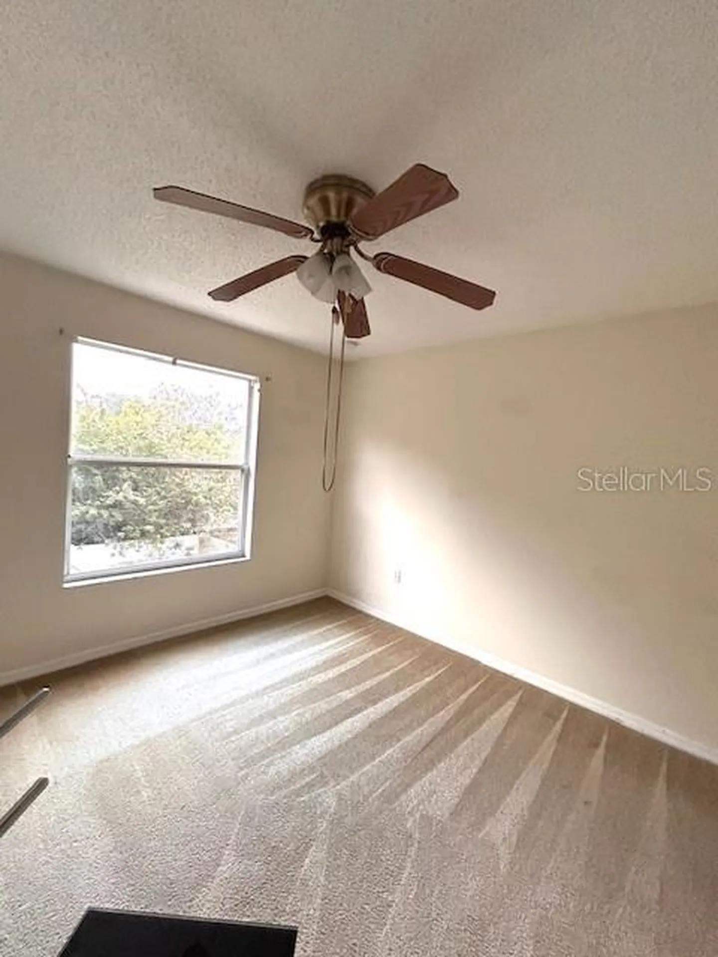843 Ognon Court Kissimmee FL 34759