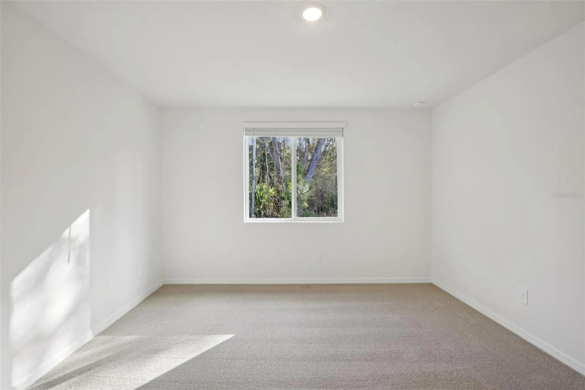 7496 Mia Vine Drive Brooksville FL 34601