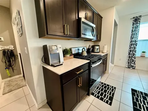20873 Drake Elm Drive Land O Lakes FL 34638