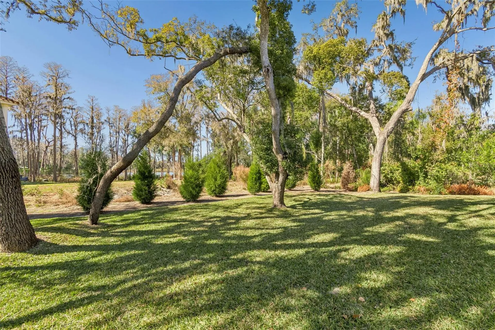 17720 Royal Eagle Lane Lutz FL 33549