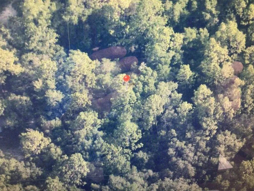 0 SW 153 Lane Dunnellon FL 34432
