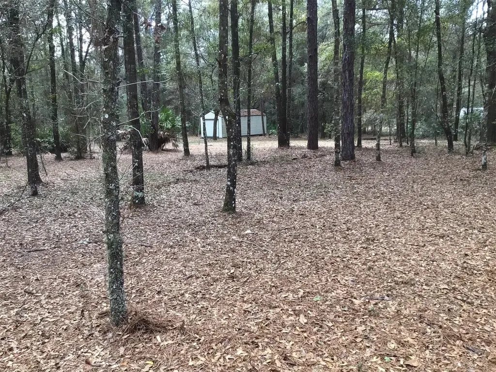 0 SW 153 Lane Dunnellon FL 34432