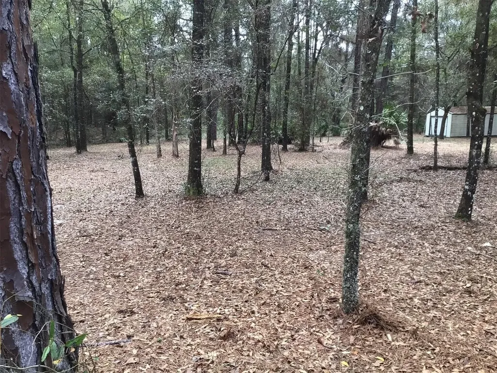 0 SW 153 Lane Dunnellon FL 34432