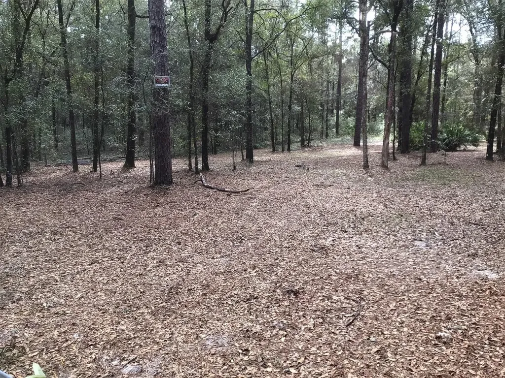0 SW 153 Lane Dunnellon FL 34432