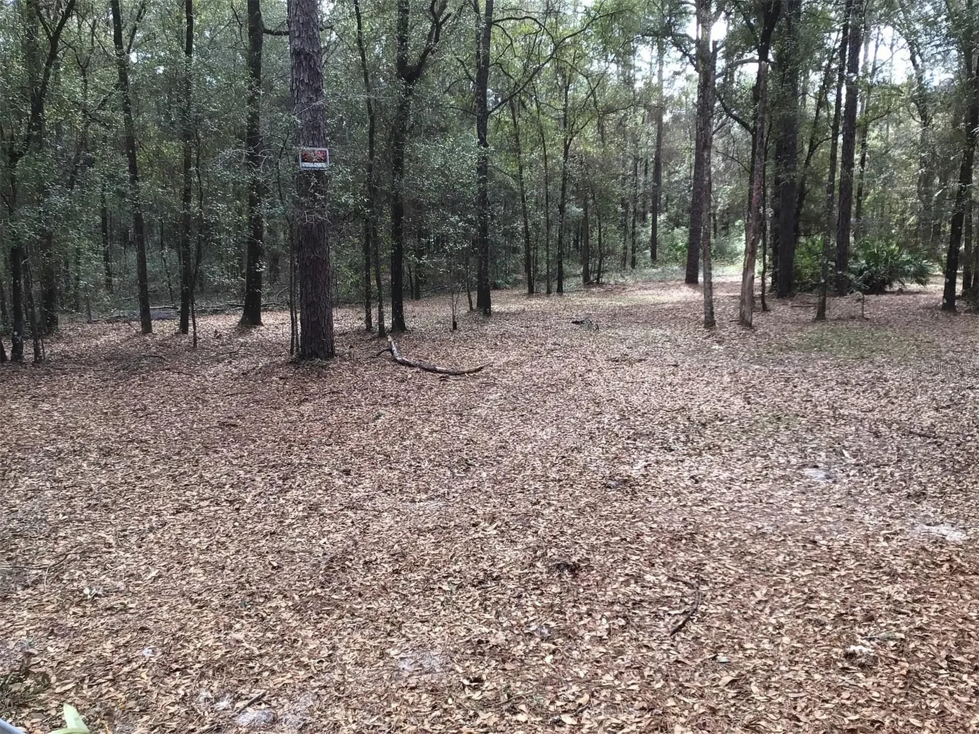 0 SW 153 Lane Dunnellon FL 34432