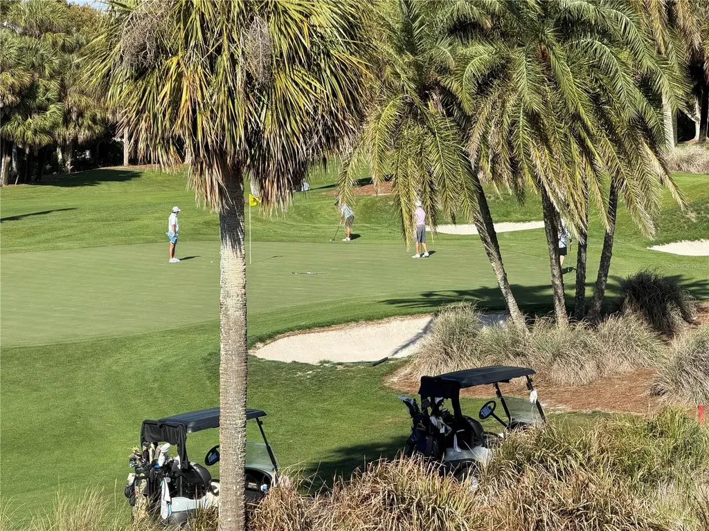 50 Coe Road Belleair FL 33756