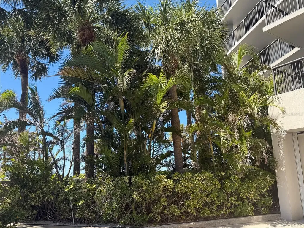 50 Coe Road Belleair FL 33756
