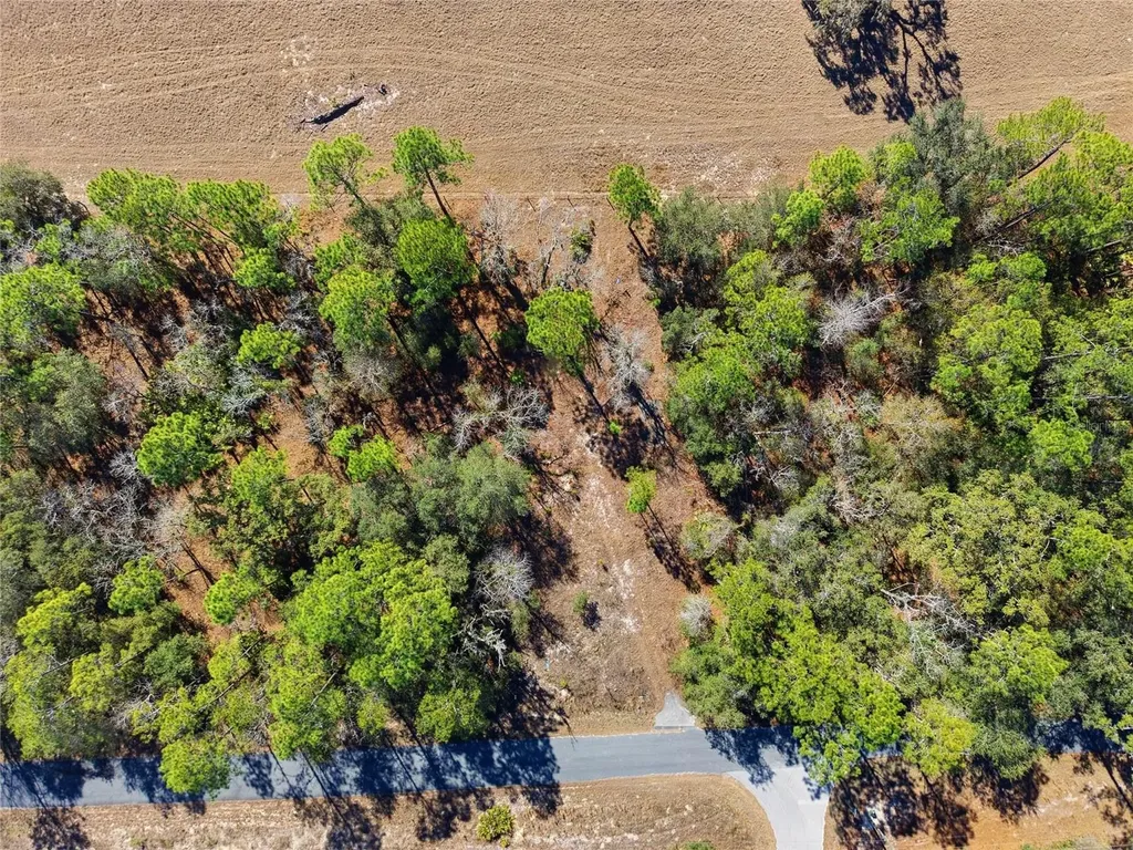 24456 SW Tiger Lake Boulevard W Dunnellon FL 34431