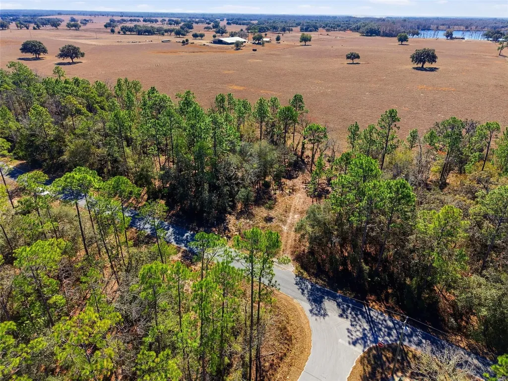 24456 SW Tiger Lake Boulevard W Dunnellon FL 34431