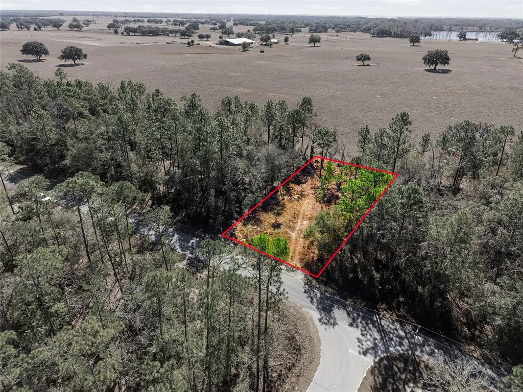 24456 SW Tiger Lake Boulevard W Dunnellon FL 34431