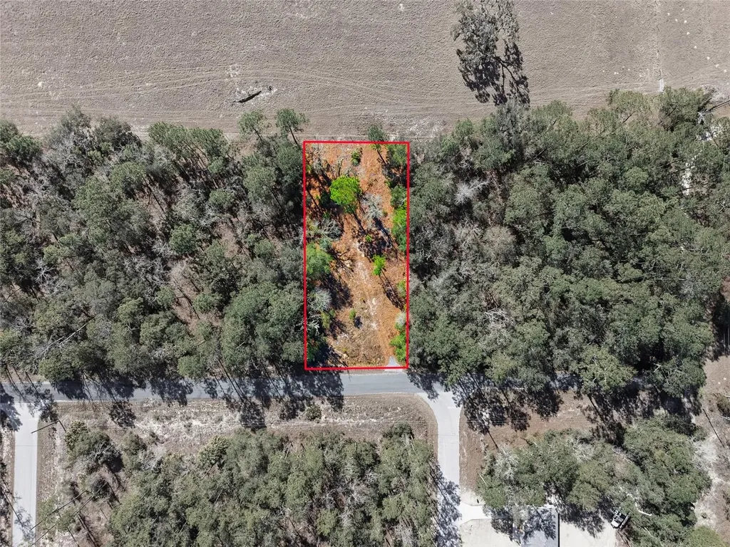 24456 SW Tiger Lake Boulevard W Dunnellon FL 34431