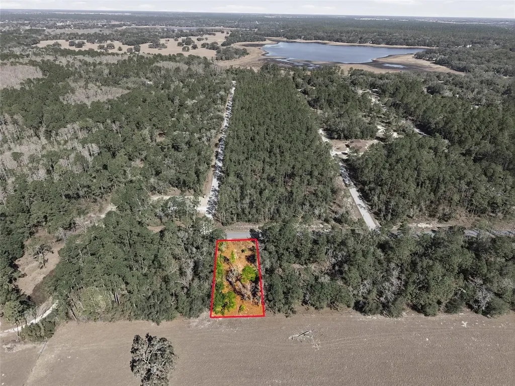 24456 SW Tiger Lake Boulevard W Dunnellon FL 34431