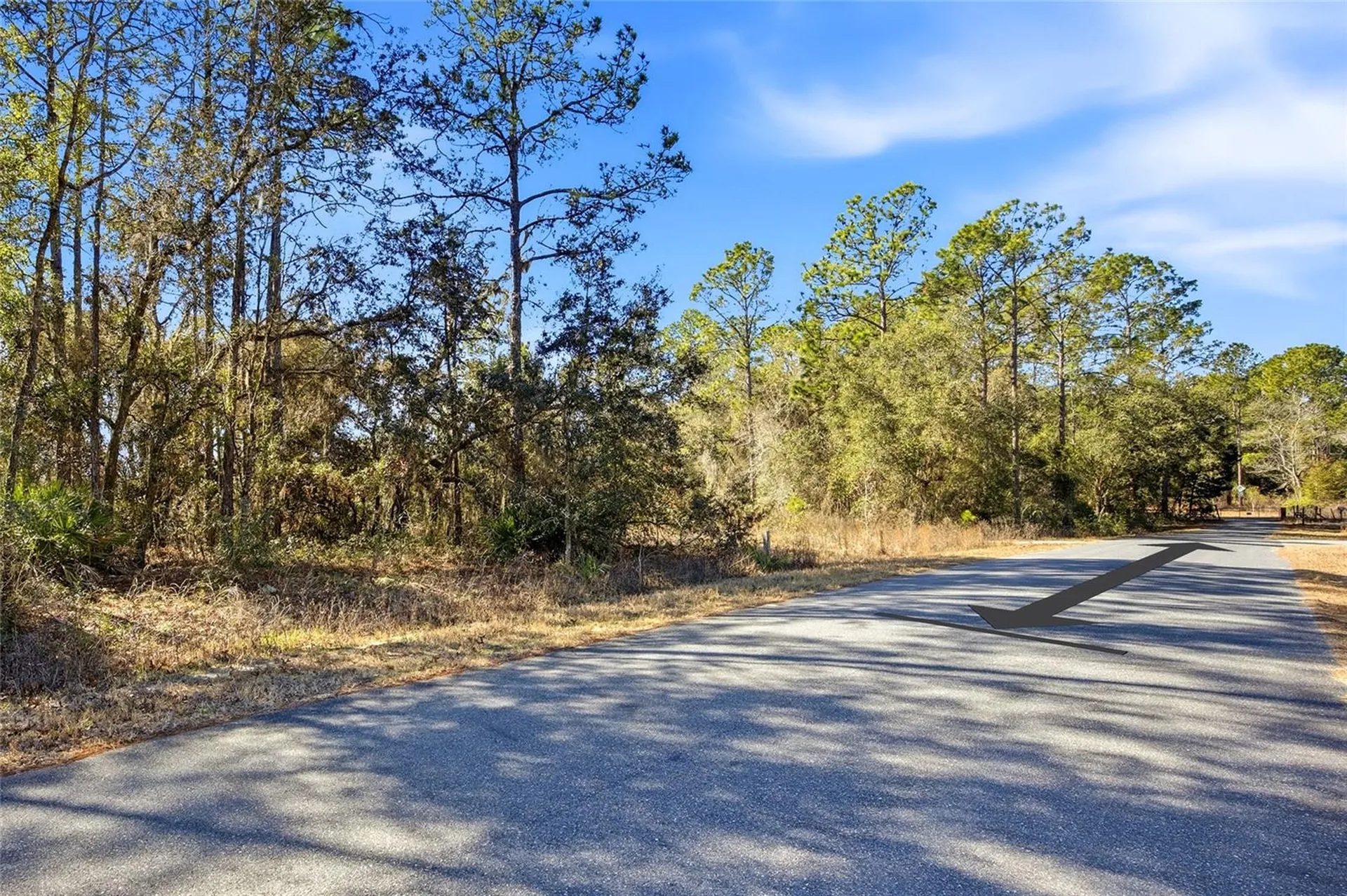 24456 SW Tiger Lake Boulevard W Dunnellon FL 34431