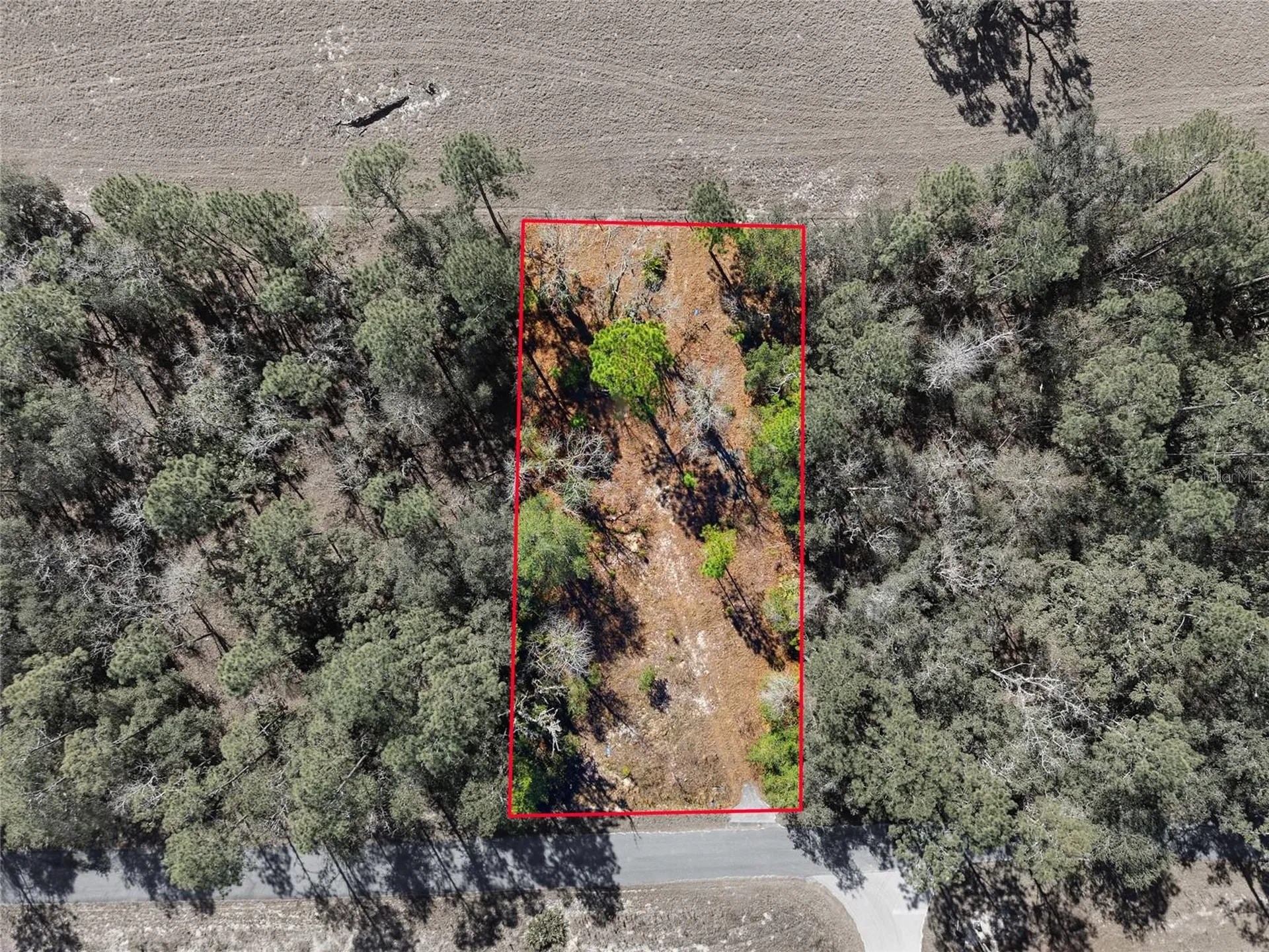 24456 SW Tiger Lake Boulevard W Dunnellon FL 34431