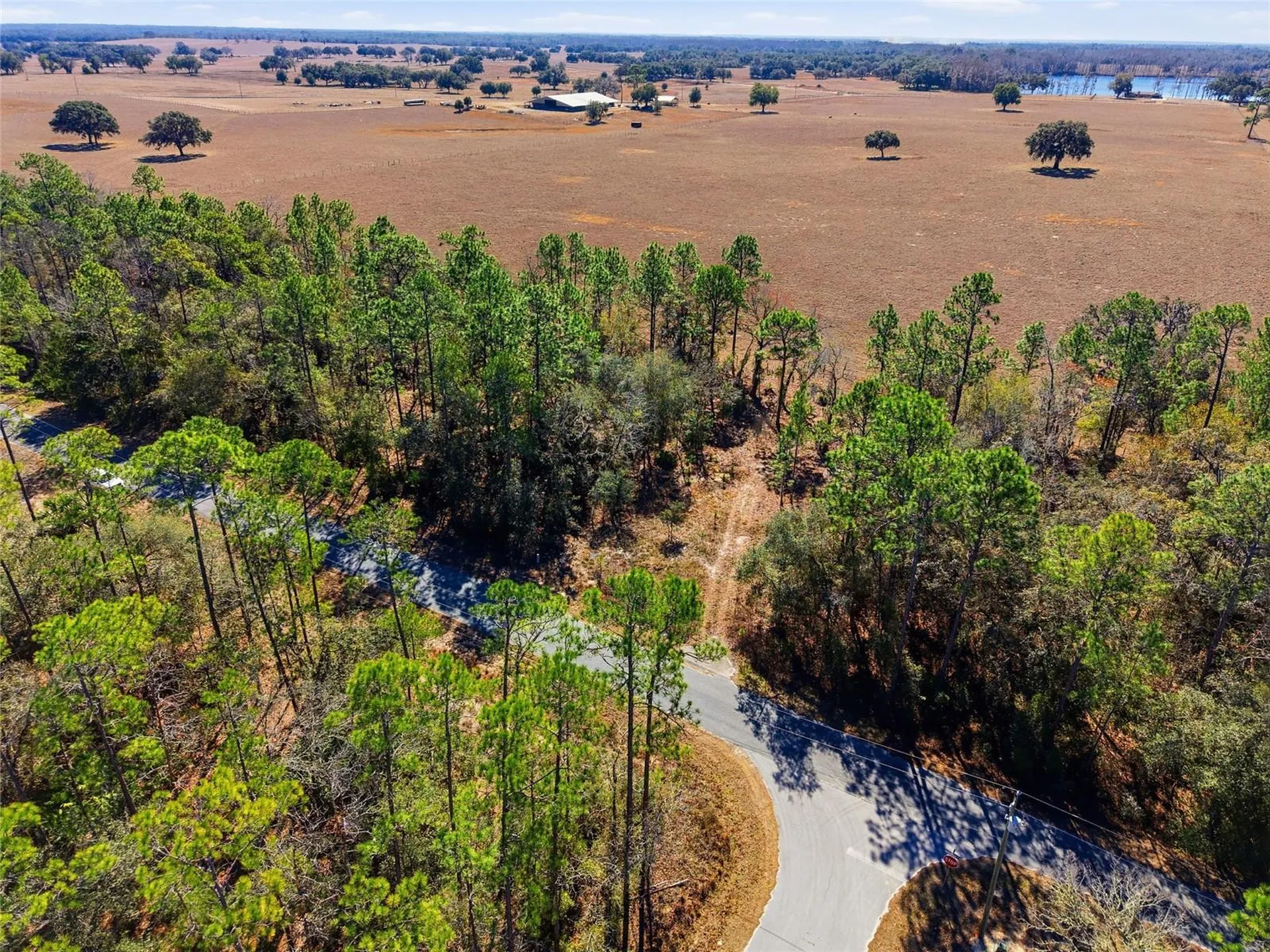 24456 SW Tiger Lake Boulevard W Dunnellon FL 34431