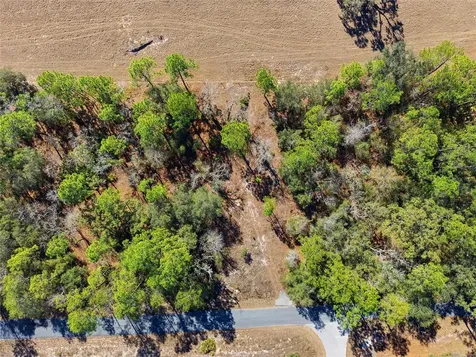24456 SW Tiger Lake Boulevard W Dunnellon FL 34431