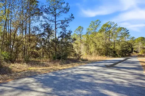 24456 SW Tiger Lake Boulevard W Dunnellon FL 34431