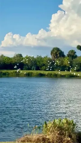 10253 Canaveral Circle Sarasota FL 34241