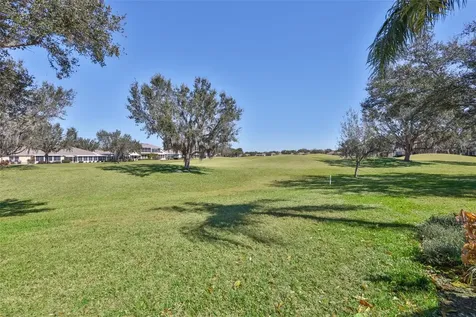 2119 Grantham Greens Drive Sun City Center FL 33573