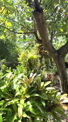 22 Hermanos Avila, Beltran Fajardo PR 00738
