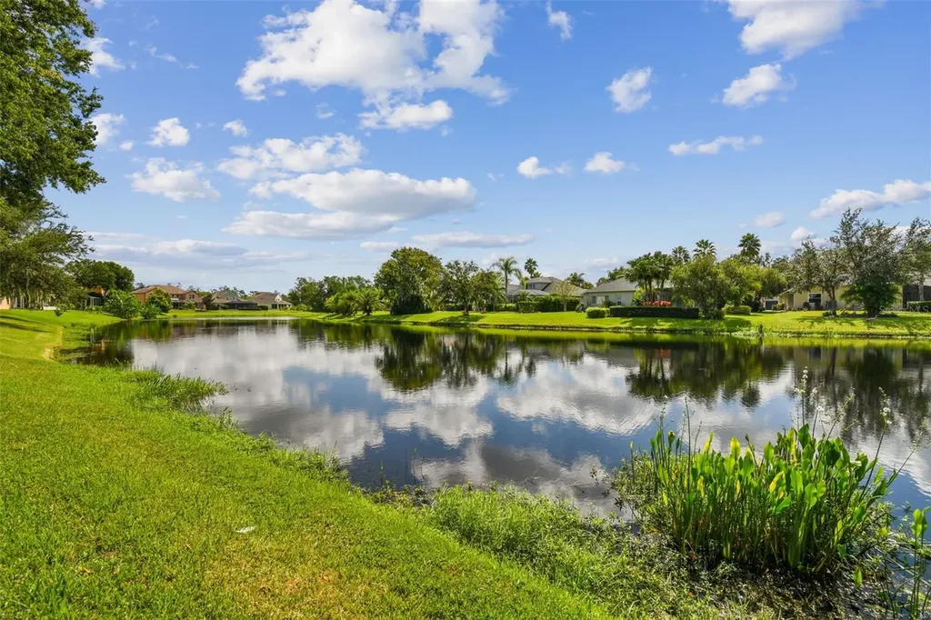 26848 Shoregrass Drive Wesley Chapel FL 33544