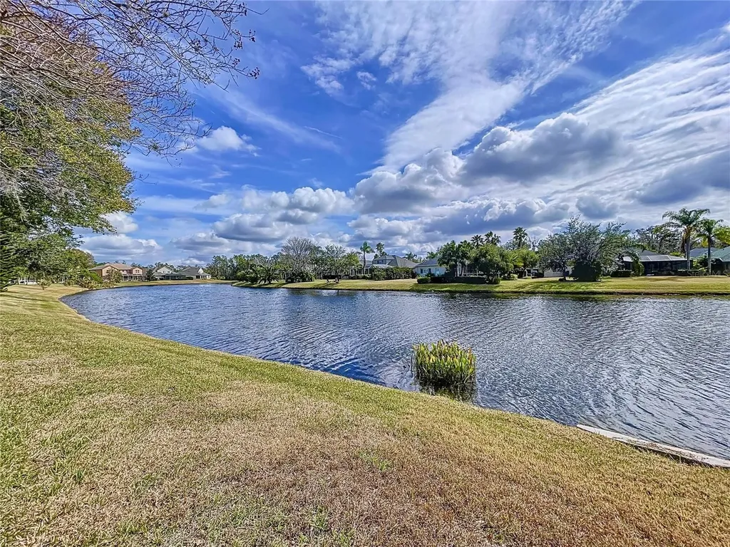 26848 Shoregrass Drive Wesley Chapel FL 33544