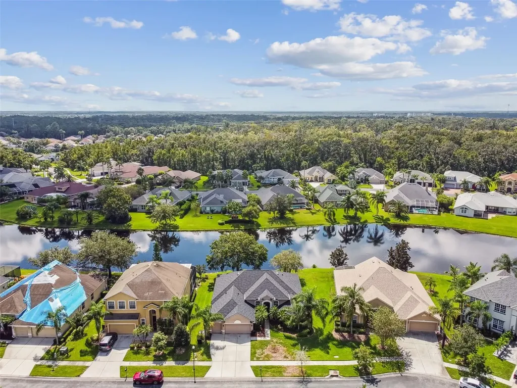 26848 Shoregrass Drive Wesley Chapel FL 33544