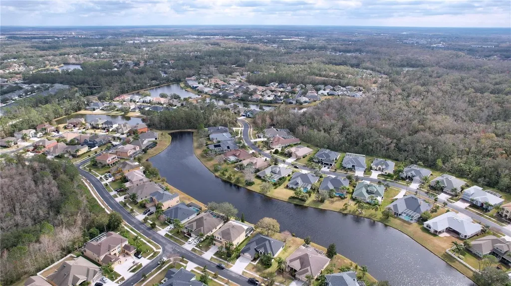 26848 Shoregrass Drive Wesley Chapel FL 33544