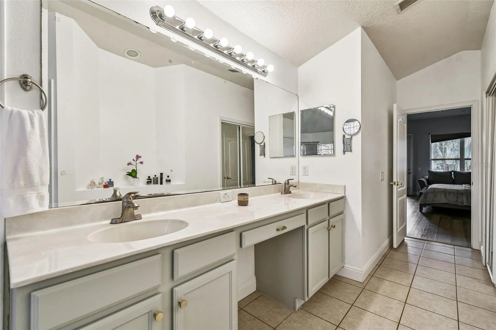 26848 Shoregrass Drive Wesley Chapel FL 33544