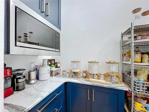 26848 Shoregrass Drive Wesley Chapel FL 33544