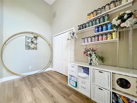 26848 Shoregrass Drive Wesley Chapel FL 33544