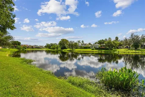 26848 Shoregrass Drive Wesley Chapel FL 33544