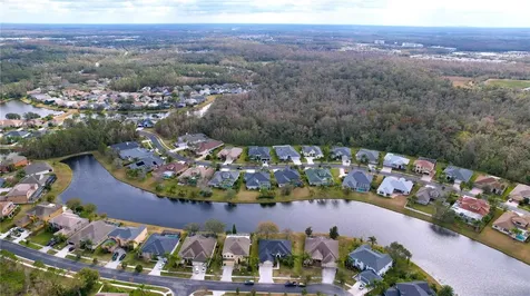 26848 Shoregrass Drive Wesley Chapel FL 33544