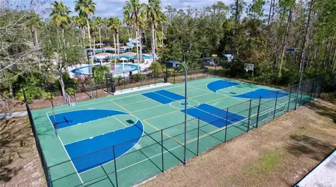 26848 Shoregrass Drive Wesley Chapel FL 33544