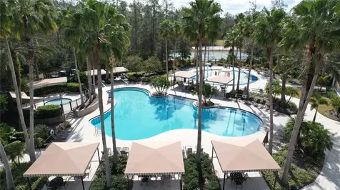 26848 Shoregrass Drive Wesley Chapel FL 33544
