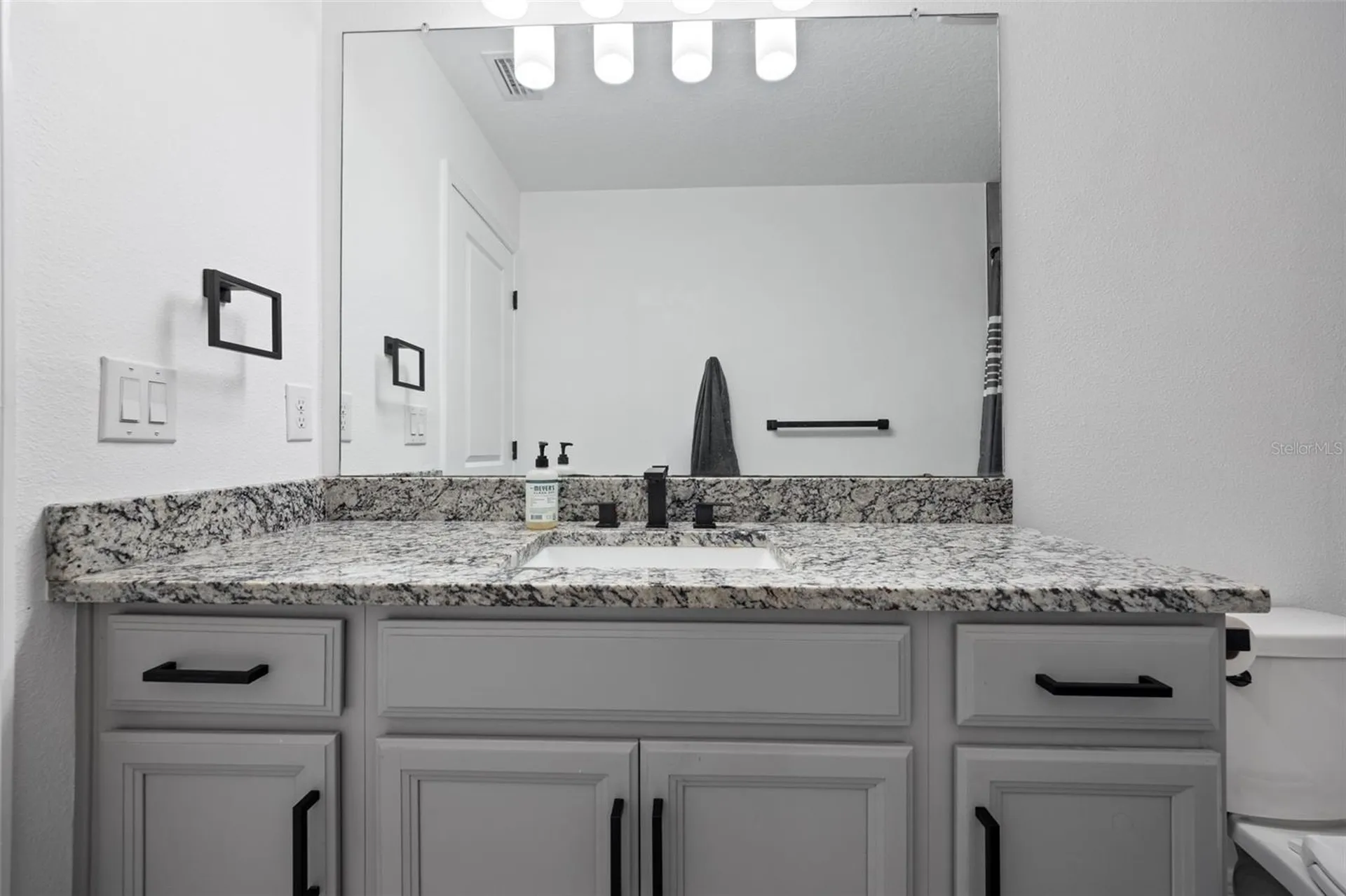 5617 Del Coronado Drive Apollo Beach FL 33572