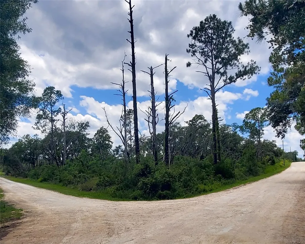 Coral Rock Drive Webster FL 33597