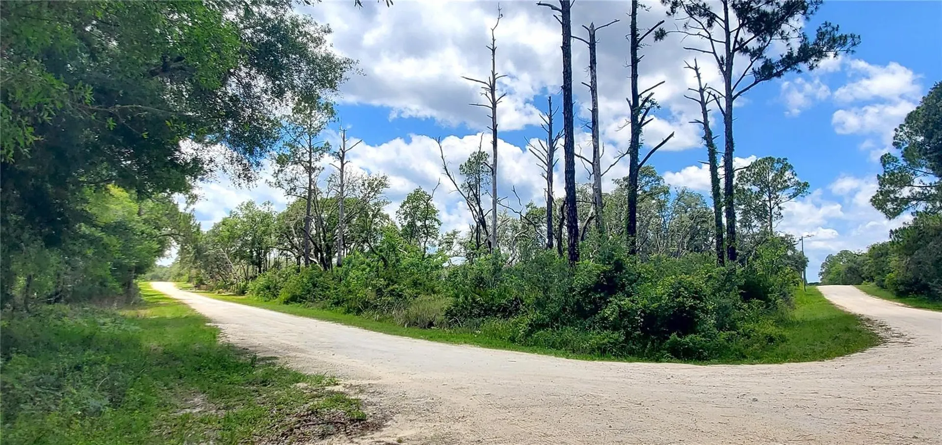 Coral Rock Drive Webster FL 33597