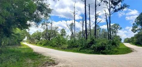Coral Rock Drive Webster FL 33597