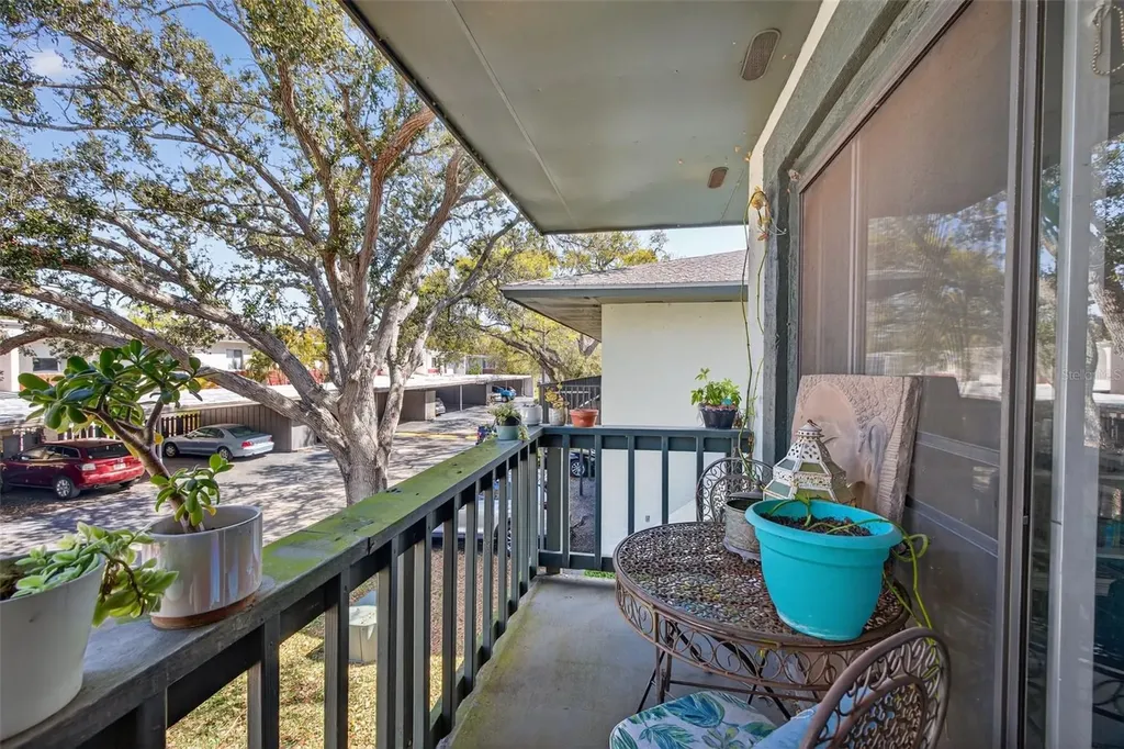 2902 Lichen Lane Clearwater FL 33760