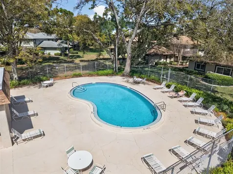 2902 Lichen Lane Clearwater FL 33760