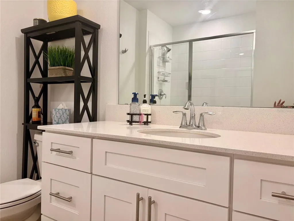 5325 Red Coral Circle Mount Dora FL 32757