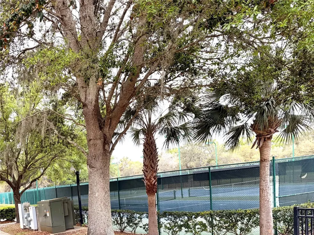 5325 Red Coral Circle Mount Dora FL 32757