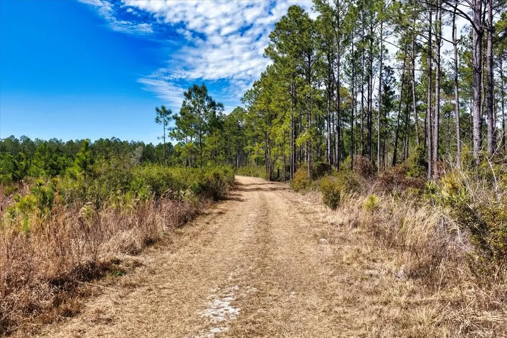 60 Acres NW Clyatt Road Chiefland FL 32626