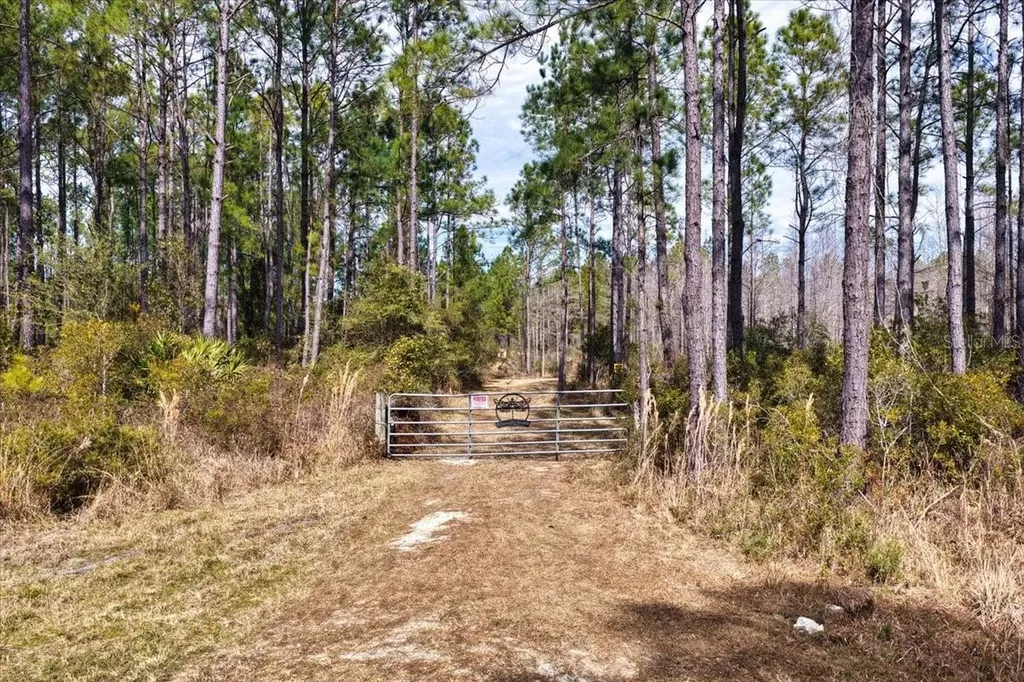 60 Acres NW Clyatt Road Chiefland FL 32626