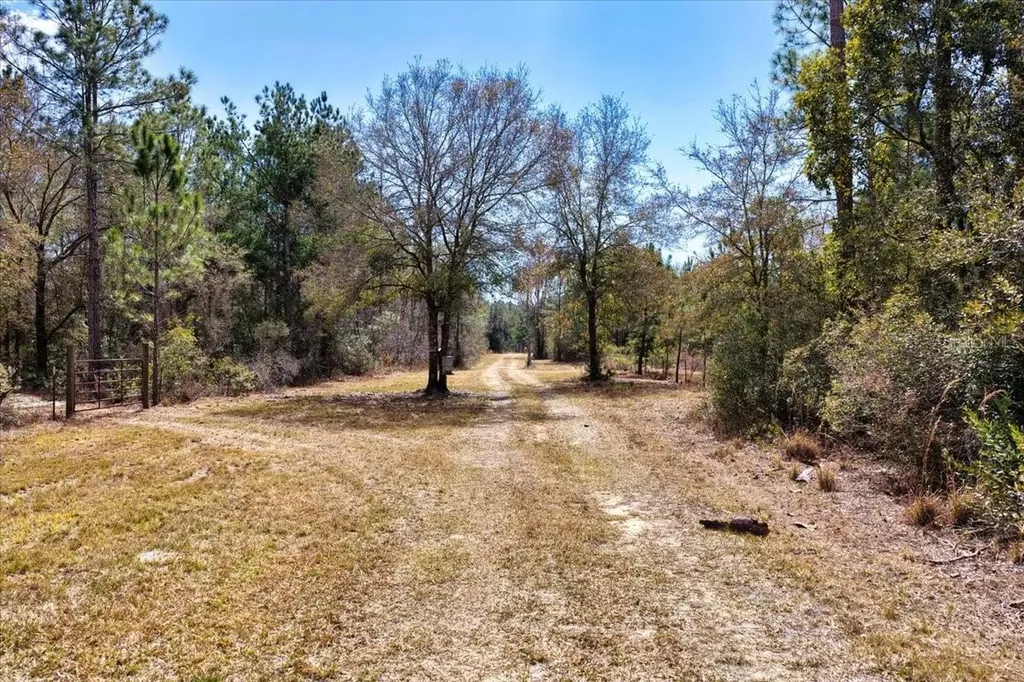 60 Acres NW Clyatt Road Chiefland FL 32626